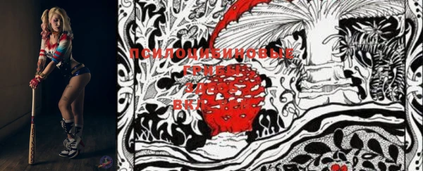 кокаин премиум Приозерск