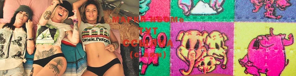 ГАЛЛЮЦИНОГЕННЫЕ ГРИБЫ Ростов