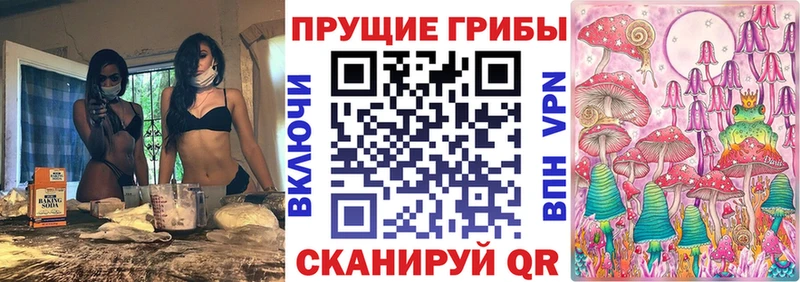 Псилоцибиновые грибы мицелий  Купить закладки  Ахтырский 